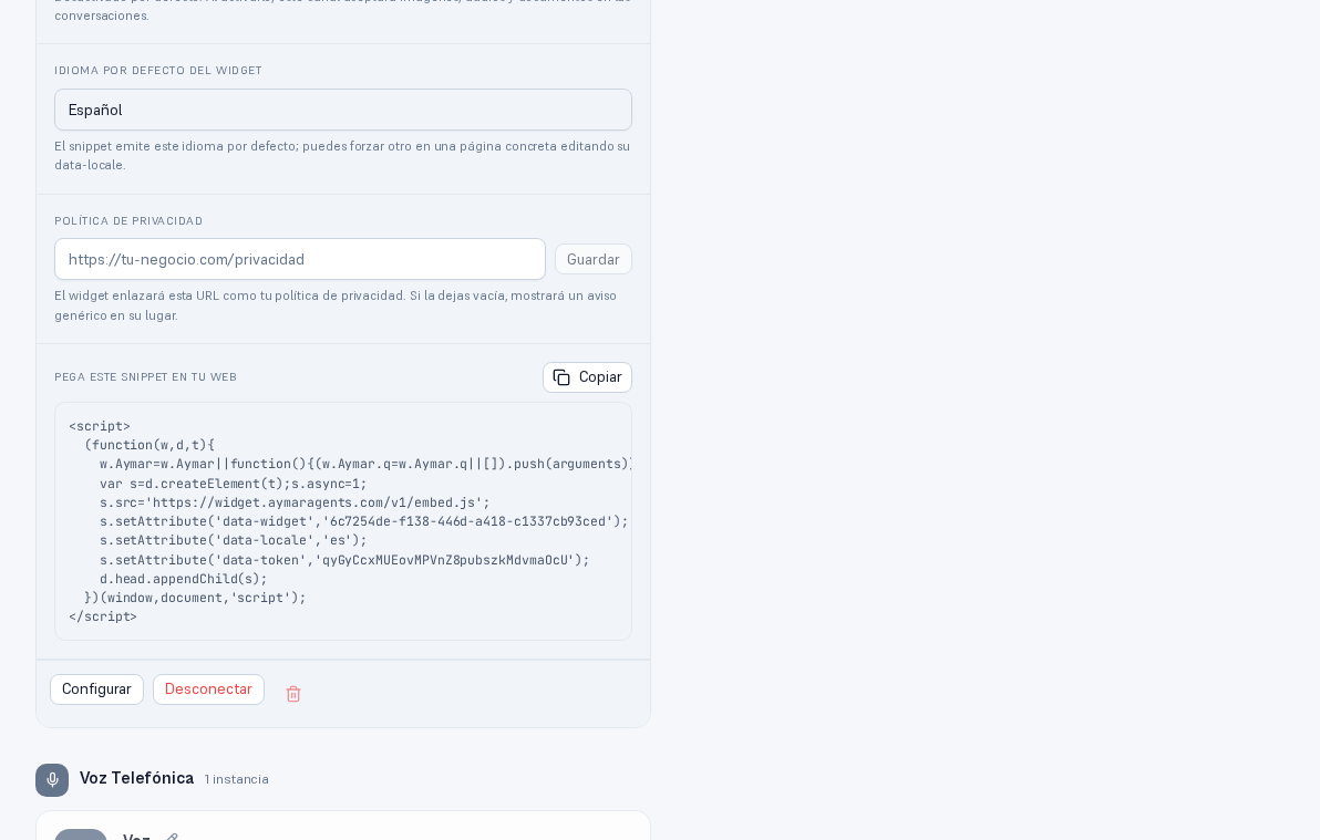 Bloque «Pega este snippet en tu web» con el código completo del script, incluyendo el dominio de embebido del widget y el data-token de tu instancia, y el botón Copiar arriba